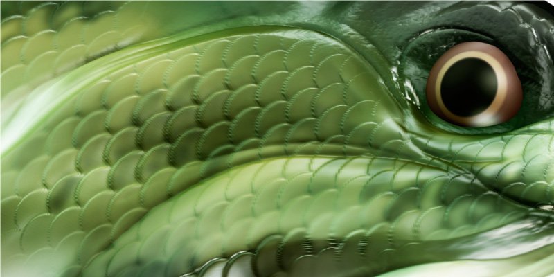 Large Mouth Bass Fish Graphics Closeup