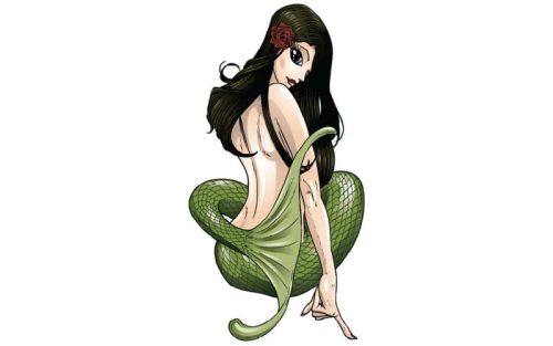 Mermaid Fish Graphics